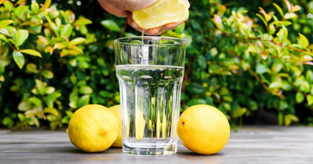 レモン水　作り方
